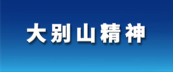 傳承紅色基因 弘揚(yáng)大別山精神